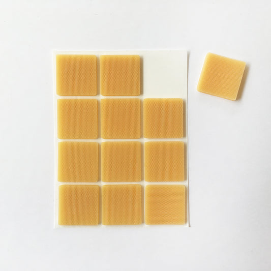 動カンゾ 四角型12枚入り【サイズ25×25㎜】