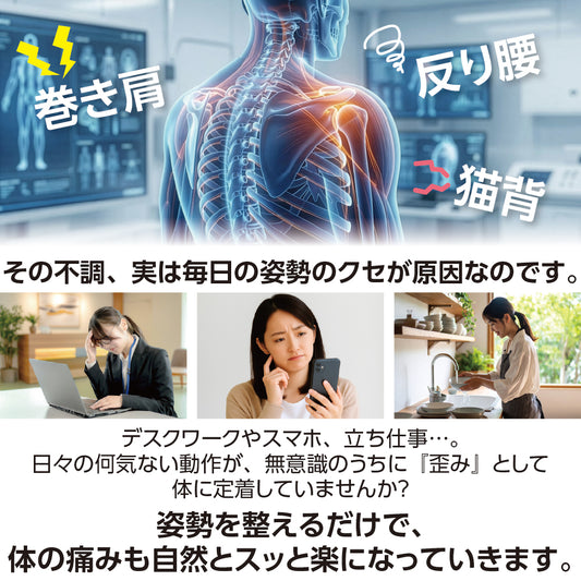 【2月中旬入荷予定・入荷次第出荷】EPPストレッチポール 15㎝×90㎝