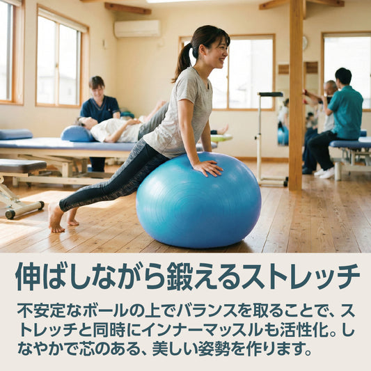 【2月中旬入荷予定・入荷次第出荷】ストレッチボール 55㎝