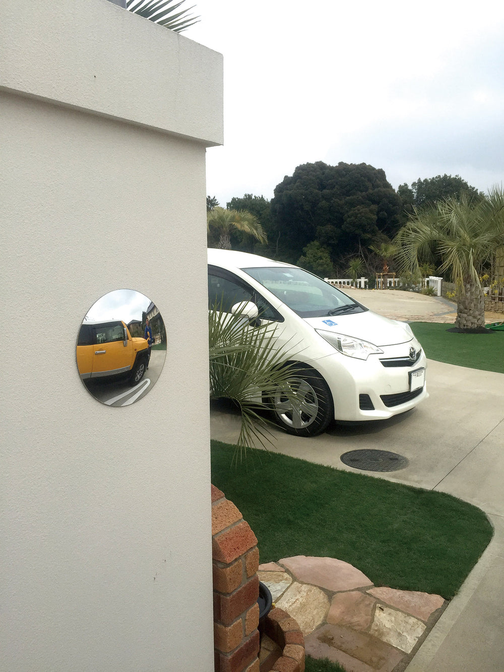 カラープラポール どこでもミラー/CP-65