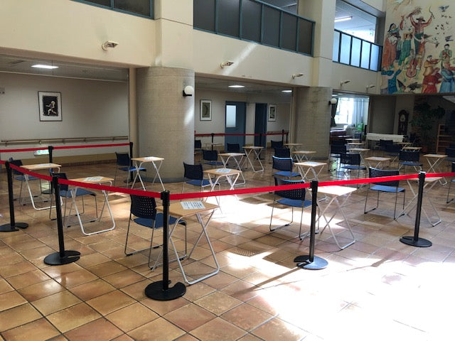 ベルト付きポール くぼみ型